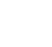 Auctions and Mobile Bidding